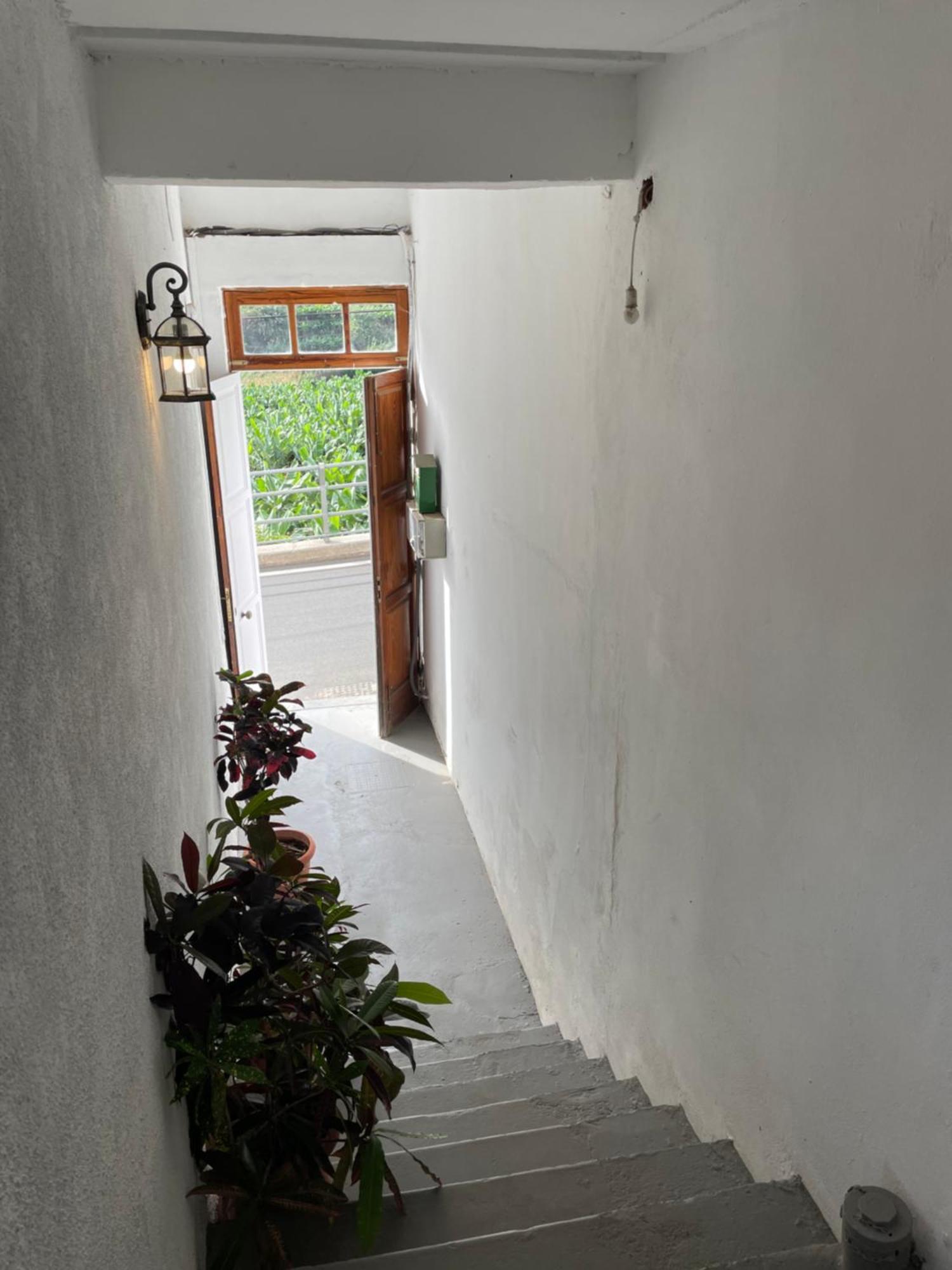 Finca Santa Catalina Hermigua Ngoại thất bức ảnh