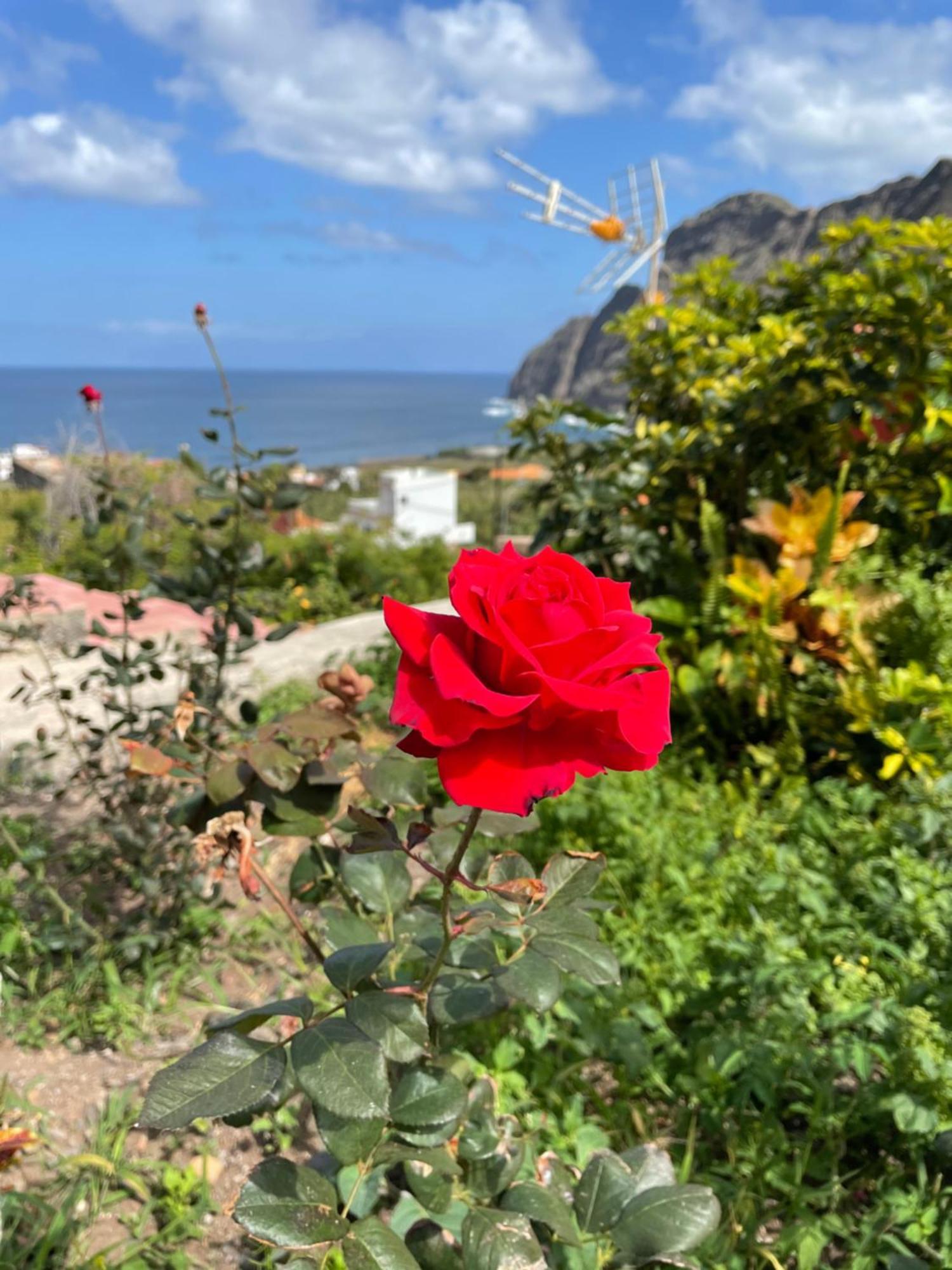 Finca Santa Catalina Hermigua Ngoại thất bức ảnh